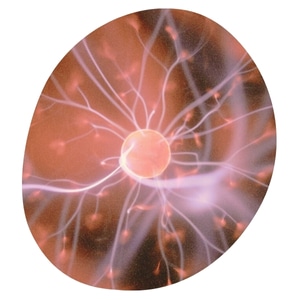 Mitochondria for energy support