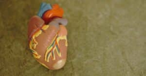How to Love Your Liver