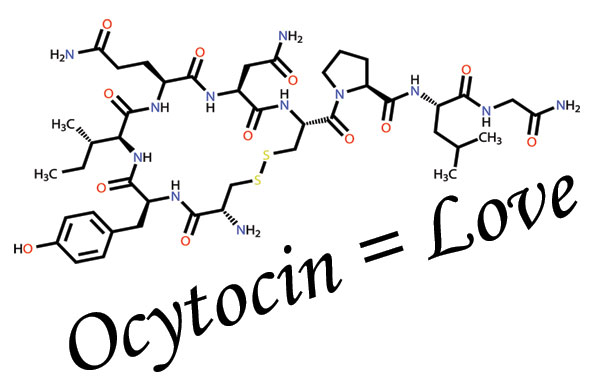 Ocytocin equals love